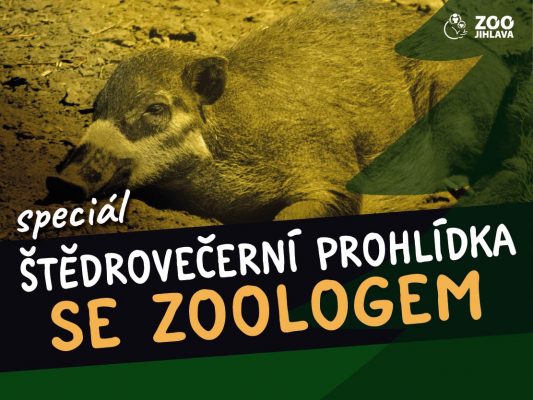Štědrovečerní prohlídka se zoologem