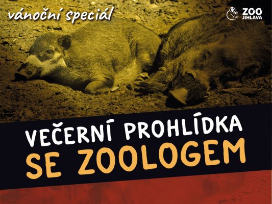 Vánoční večerní prohlídky se zoologem