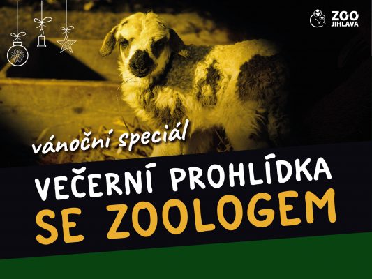 Vánoční večerní prohlídka se zoologem