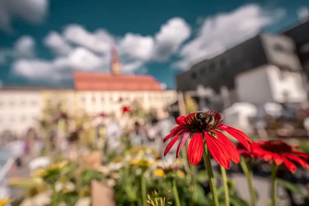 Dožínky & Den evropského dědictví 2025
