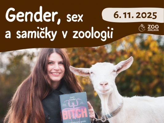Gender, sex a samičky v zoologii – Večery PodpoVRCHem