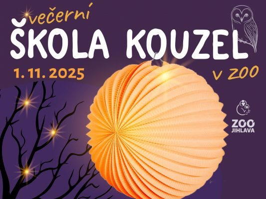 Večerní škola kouzel v zoo