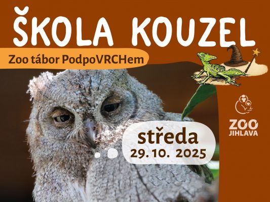 Podzimní prázdniny PodpoVRHCem