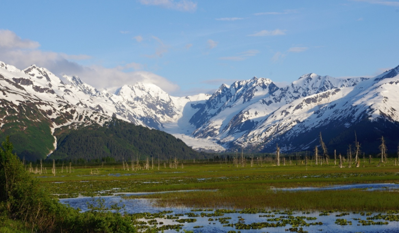 Aljaška: divočinou severu