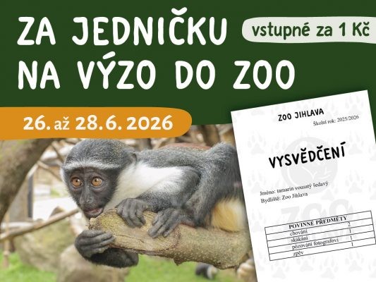 Za vysvědčení do zoo