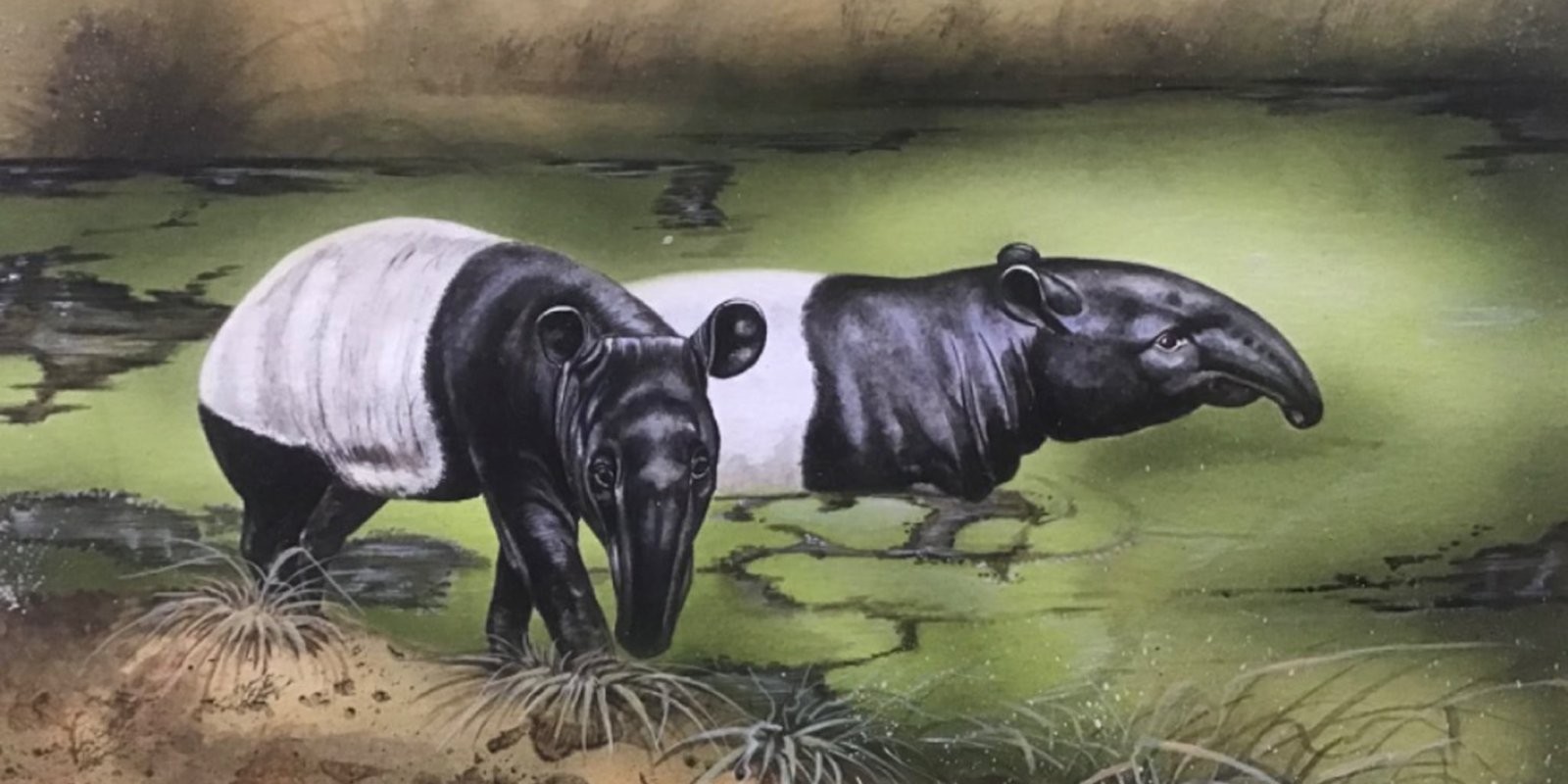 Vernisáž: ZOO na papíře