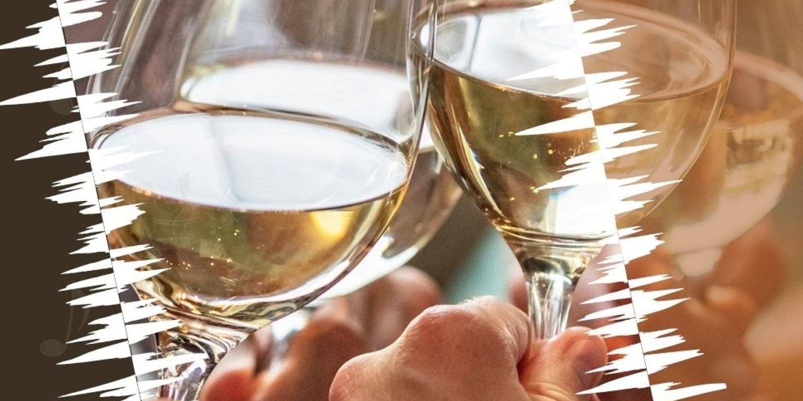 Degustace Vinařství Hruška