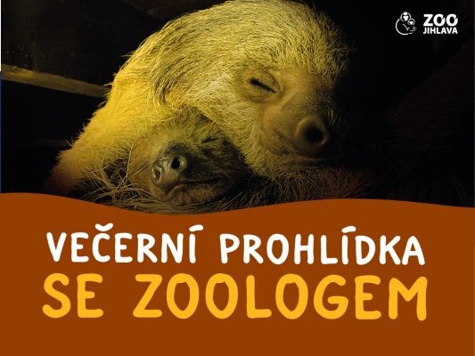 Večerní prohlídka se zoologem