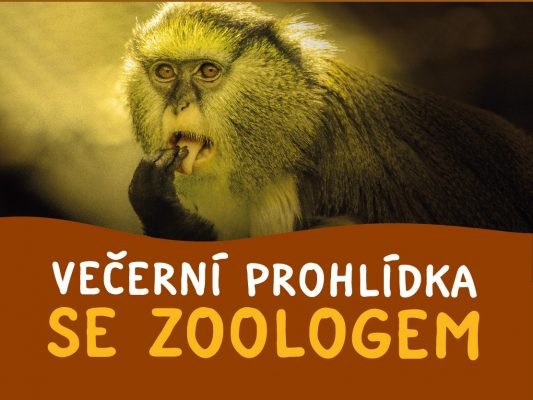 Večerní prohlídka se zoologem