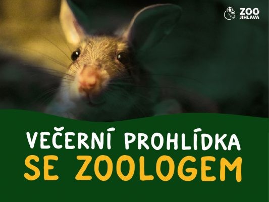 Večerní prohlídka se zoologem