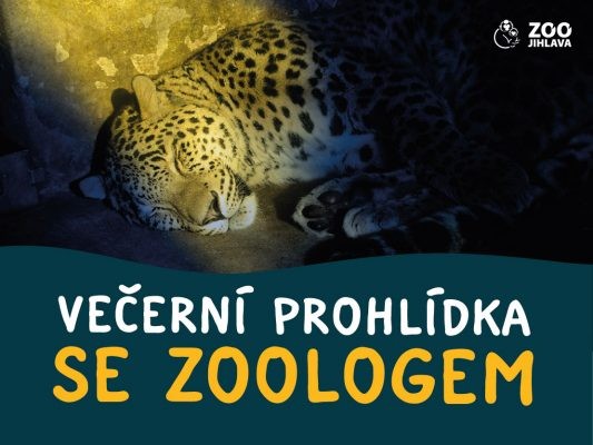 Večerní prohlídka se zoologem