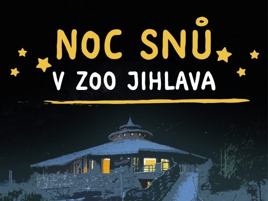Noc snů