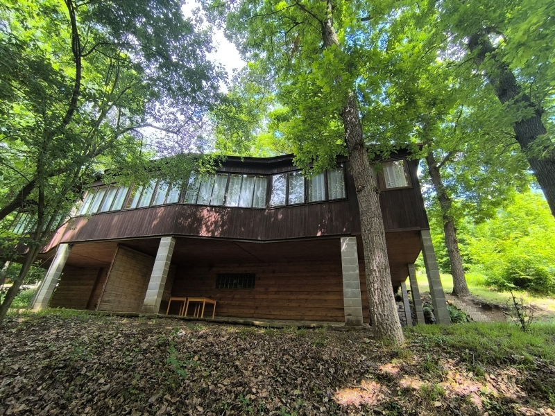 Image 8