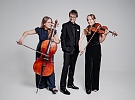 Trio Vyšehrad