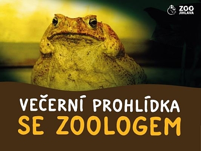 Večerní prohlídka se zoologem