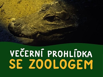 Večerní prohlídka se zoologem