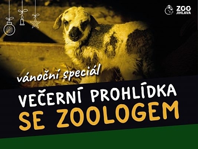 Vánoční večerní prohlídka se zoologem