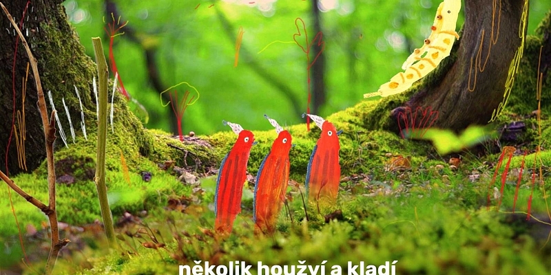 Fotografie 1