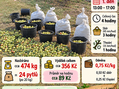 Sběr jablek - 1 den s dětmi