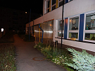 V úkrytu pachatele objevil policejní pes