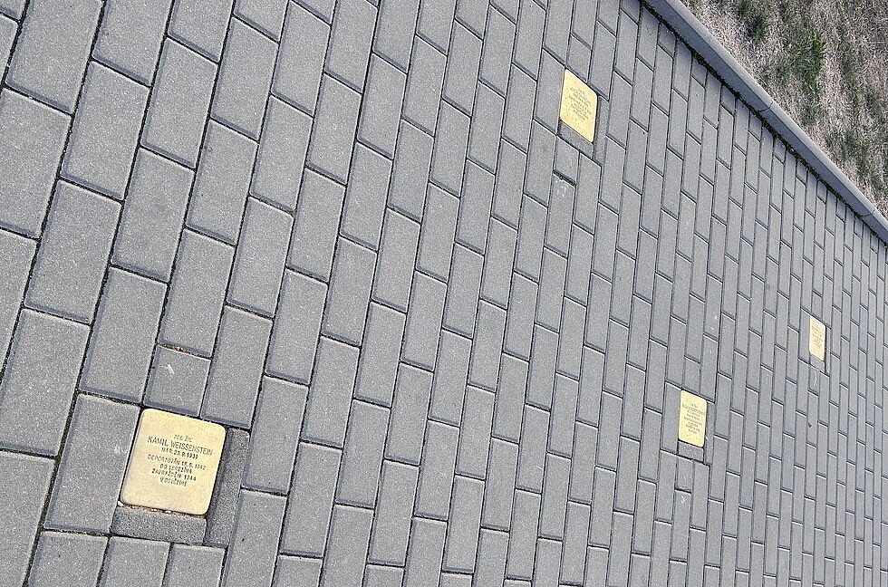 Fotografie 1