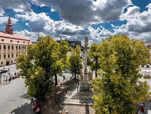 Jihlava se připojí ke Světovému dni dárců kostní dřeně