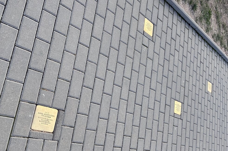 Fotografie 1