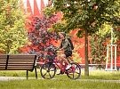 Sdílená kola vozí v létě místní i turisty