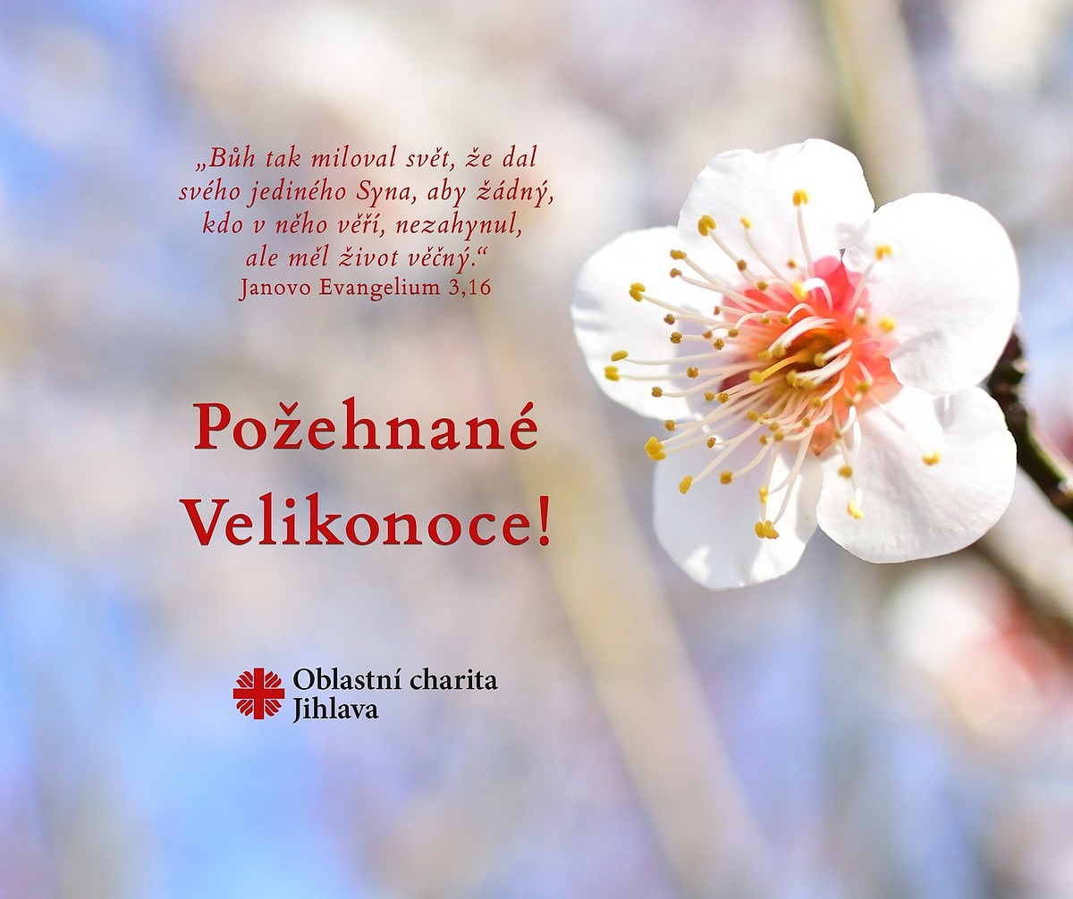 Fotografie 1