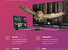 Chytrá internetová televize na 1 rok ZDARMA