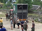 Žirafí samec odešel do chovu ve Dvoře Králové, jihlavský výběh brzy zaplní tři noví samci