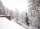 Těžký sníh láme větve v jihlavských parcích. Město varuje před vstupem do Heulosu