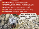 Zveme na Den dětí plný zábavy a poznání!