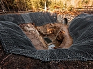 Hlasujte pro jihlavské projekty v anketě Zlatá jeřabina