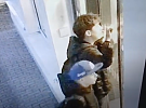 Policisté z územního odboru Žďár nad Sázavou se obracejí na veřejnost s žádostí o spolupráci