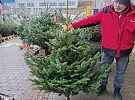 Soutěž o Vánoční stromečky od UNIHOBBY