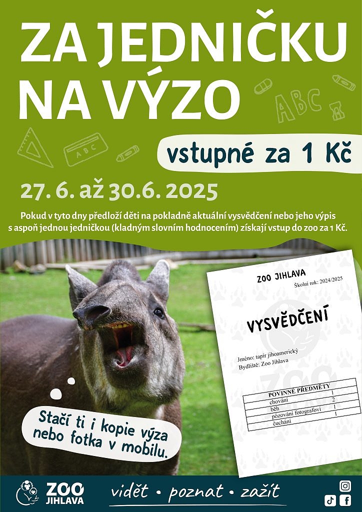 Fotografie 1