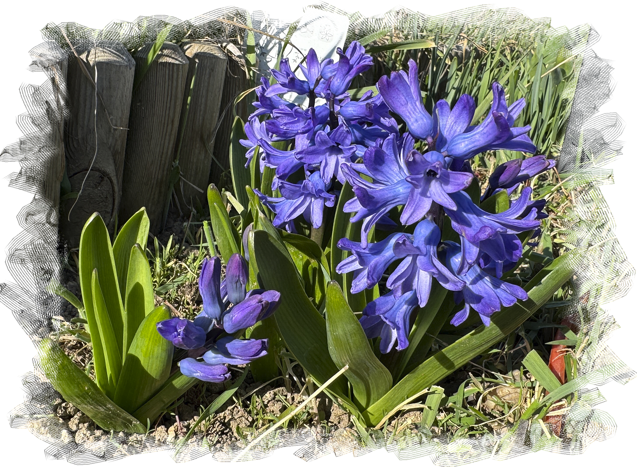 Fotografie 1