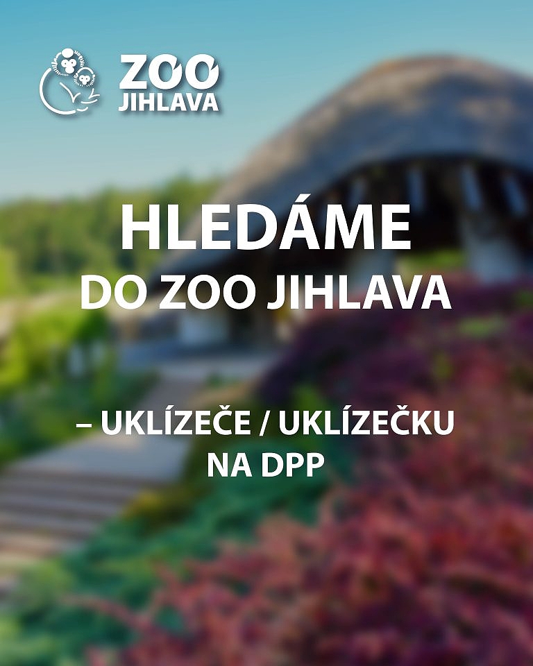 Fotografie 1