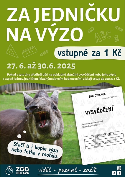 Fotografie 1