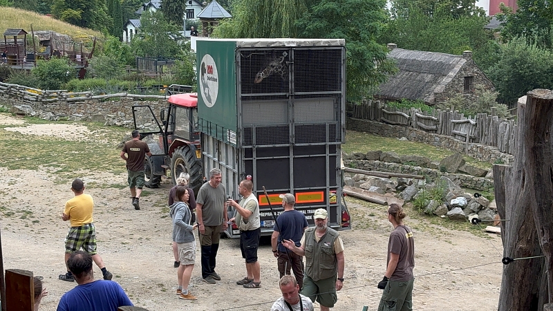 Fotografie 1