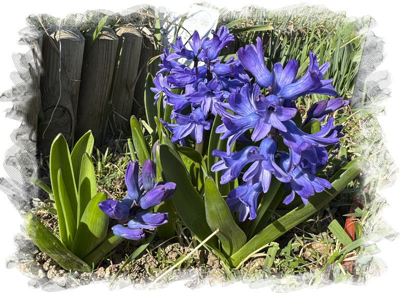Fotografie 1