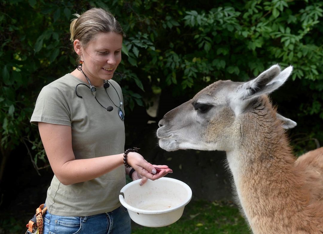 Jdeme do ZOO na komentovanou prohlídku
